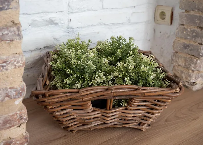 Bhost - Canas Apartament Kordoba