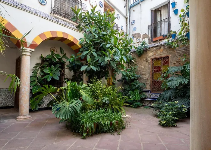 Apartament Bhost - Canas Kordoba