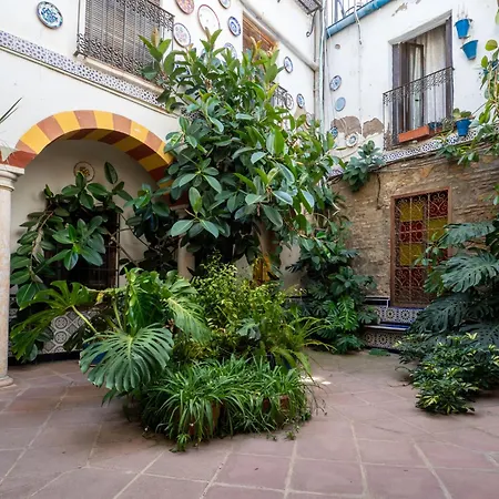 Apartment Bhost - Canas Córdoba
